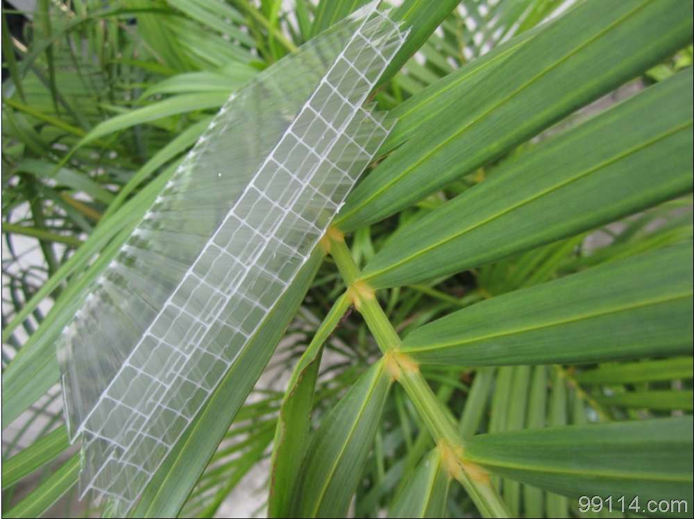 如何挑选优质阳光板