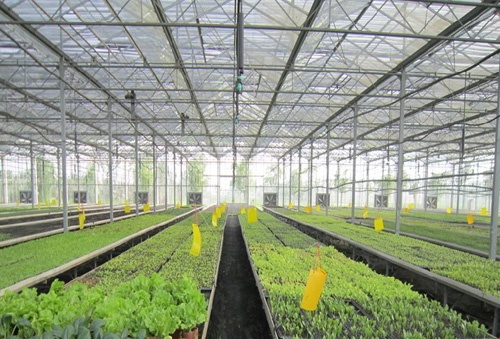 誉耐PC阳光板成新型节能装饰材料