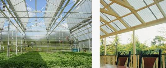 PC阳光板温室开窗通风能力的设计理念