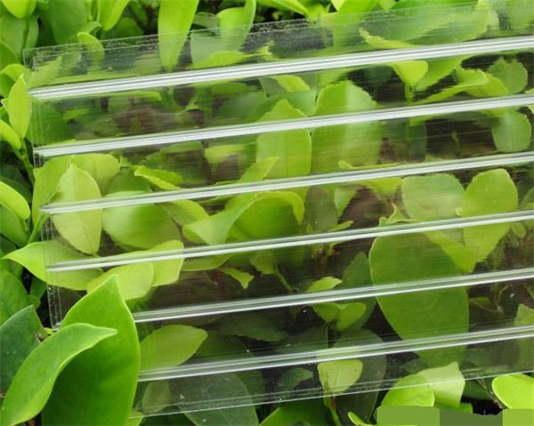 PC阳光板幕墙压板安装方法