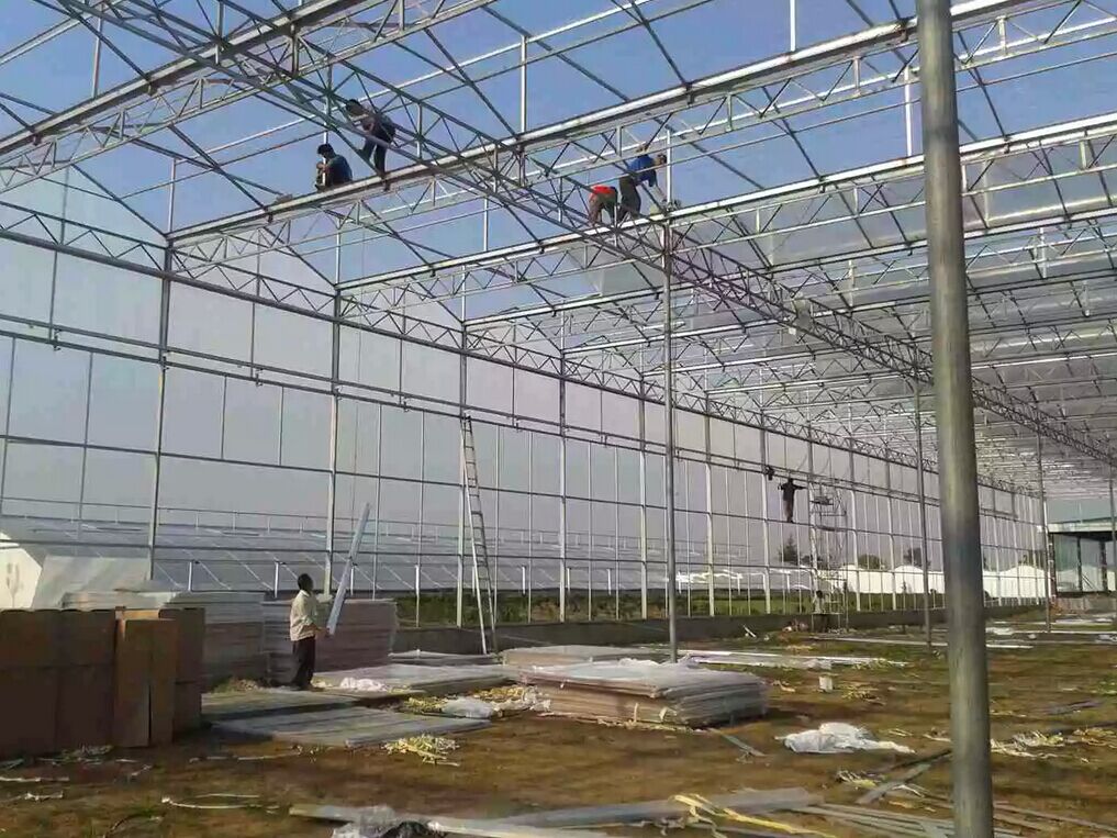 河南阳光板温室工程紧张施工中